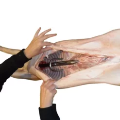 Stainless Steel Back Brace U Bolt For BBQ Rotisserie By Flaming Coals -AU BBQ Supplies Sales 2024 BB02S 2 4